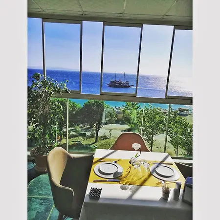 Ceti̇n Presti̇ge 3*